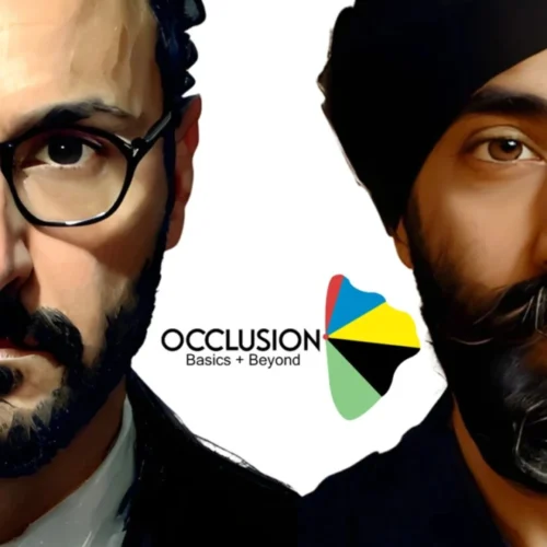 Occlusion: Basics & Beyond