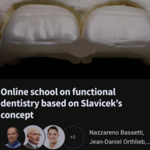 Online School on Functional Dentistry Based on Slavicek’s Concept